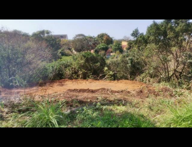 LAND FOR SALE IN SAICCOR